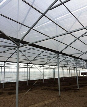 花卉连栋大棚中农业用塑料薄膜的应用及优势