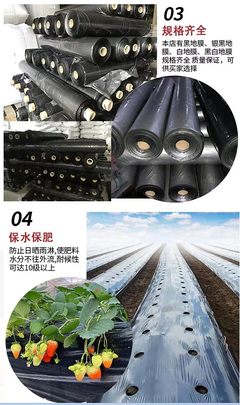 虹丰塑业 全生物降解地膜，助力农业绿色可持续发展