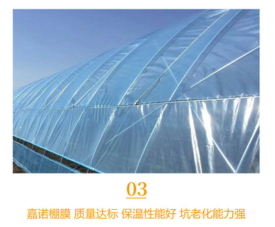 平菇种植大棚 新疆农业与专业厂家的高效解决方案