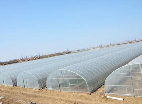 探究弥勒地区农业大棚塑料薄膜价格 影响因素与采购指南