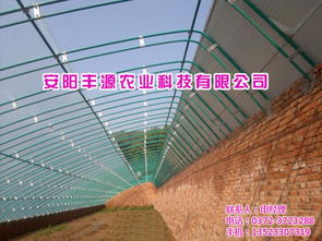 花卉大棚加温设备与塑料薄膜的科学应用——安阳丰源农业在线咨询指南