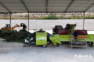 甘谷金秋丰收季 玉米青贮正忙时，农膜助力现代农业