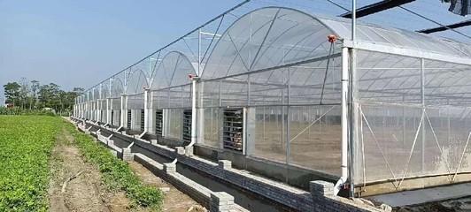 安徽地区冬暖温室大棚与农业用塑料薄膜成本分析