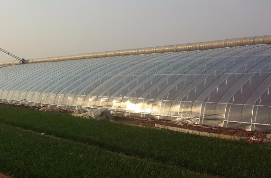塑料薄膜在农业生产中的应用分析
