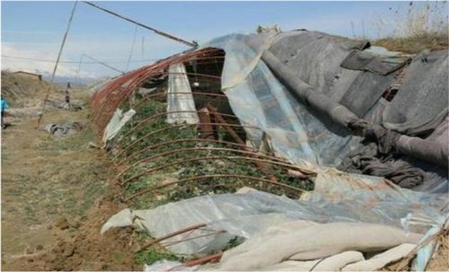 大棚蔬菜种植 延长大棚薄膜使用寿命的三点关键因素