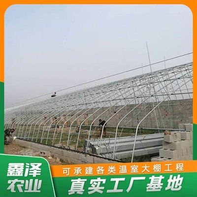 鑫泽农业用塑料薄膜 提升现代农业生产力的关键材料